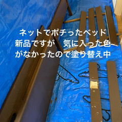 ベッド/ベッド　リメイク/氷/寒波/多肉/多肉植物 西日本ですが、今日は一日　氷が溶けないほ…(4枚目)