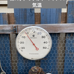 ベッド/ベッド　リメイク/氷/寒波/多肉/多肉植物 西日本ですが、今日は一日　氷が溶けないほ…(3枚目)