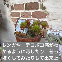 Nuri-Deco-Wall （ヌリ・デコ・ウォール） | アサヒペン(ペンキ、塗料)を使ったクチコミ「LIMIAモニタープレゼントに当たりまし…」(6枚目)