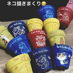 花壇/猫/リメ鉢/リメイク鉢 もうすぐ到着のリエール苗のため 塗りまく…