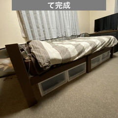 ベッド/ベッド　リメイク/氷/寒波/多肉/多肉植物 西日本ですが、今日は一日　氷が溶けないほ…(5枚目)
