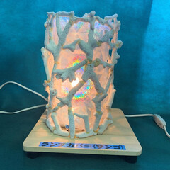 我が家の照明 学校で撮影した作品です。珊瑚とホログラフ…(1枚目)