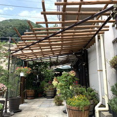 生活の知恵/DIY/夏対策 先般 尾道に別荘をお持ちのマダムからの依…