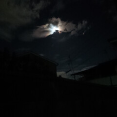 雲と月 #金星 #夜空 雲と満月でお魚が生まれたー！わかりますか…(2枚目)