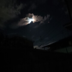 雲と月 #金星 #夜空 雲と満月でお魚が生まれたー！わかりますか…(3枚目)