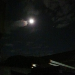 雲と月 #金星 #夜空 雲と満月でお魚が生まれたー！わかりますか…(4枚目)