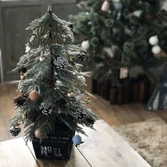 クリスマスツリー/IKEA/セリア/セリアのオーナメント/オーナメント/100均 IKEAのモミの木のツリー(1枚目)