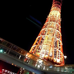 朱色/おでかけ/フォロー大歓迎 神戸のシンボルタワー
夜にはこんな美しい…(1枚目)