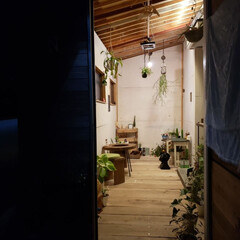 植物のある暮らし/小屋/DIY/暮らし 夜になるともう寒いです！
小屋は製作段階…(1枚目)