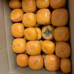 保存方法/早生柿/季節の果物 先週 早生柿が届きました！
実家と半分こ…(1枚目)