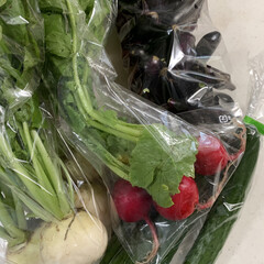 新鮮/取れたて おはようございます😻
今朝の産直🥬🥦
…