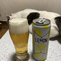 甘いビール/季節物/レモン商品/レモンビール/kaldi KALDIのレモンビール🍋
気になったの…(1枚目)