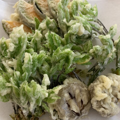 山菜/コシアブラ/鳥唐揚げ コシアブラと三陸つぼみなを頂いたのでコシ…