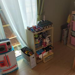 おもちゃ収納/玩具いっぱい/和室 次男のおもちゃを一度全部出してみた。リサ…(2枚目)