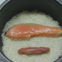 たらこ/鮭の切り身/炊き込みご飯/晩ごはん/おうちご飯 鮭とたらこの炊き込みご飯を作りました。
…(1枚目)