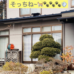 ハラハラ/屋根の上/野良クロちゃん/野良猫/猫 おはようございます🤗

庭の掃除してたら…(4枚目)