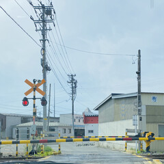 電車 新幹線のフォトまとめ Limia リミア