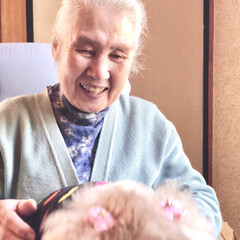 アニマルセラピー/91歳/お家/おばあちゃん 今日も天気悪いし寒いです。😞

🐩とおば…(3枚目)