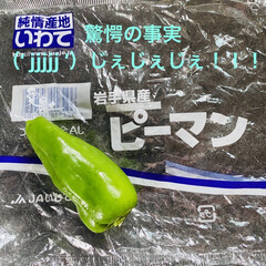 献立/好き嫌い/ピーマン こんにちは〜🤗
おばあちゃんと暮らし始め…