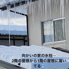 屋根/停止線/信号待ち/向かいの家/氷柱/ツルツル/... こんにちは☀️
今朝は-16℃の最低気温…(1枚目)