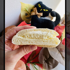 おばあちゃん/おやつ/ロッテ/山崎製パン/雪見だいふくみたいなパン こんにちは(*ˊᵕˋ*)
コンビニで こ…(2枚目)