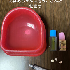 自分から/ゲージ/トイプードル/トイプー/犬/華音/... こんにちは☀️.°
久々の太陽です💦
…