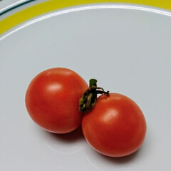 フォロー大歓迎/プチトマトの双子/双子ちゃん/プチトマト/家庭菜園/おうちごはん かわいいプチトマトを発見🍅

自己流なが…(1枚目)