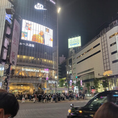 東京/スクランブル交差点/渋谷 夜の渋谷スクランブル交差点
 
やはり、…(2枚目)