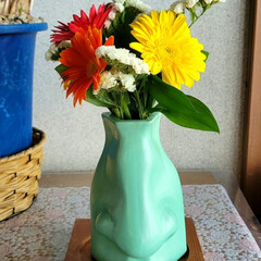 大満足/お花大好き/頑張れ/鼻の花瓶/ミニブーケの花束/おめでとう/... 昨日は
娘の入社式だったので
お祝い😥に…(1枚目)