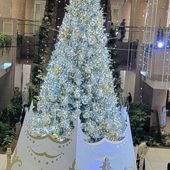 横浜/ランドマークタワー/クリスマス/メリークリスマス/出かけた先で/おでかけ/... まるちゃんも
一緒の〜
クリスマスツリー…(2枚目)
