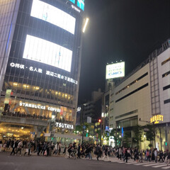 東京/スクランブル交差点/渋谷 夜の渋谷スクランブル交差点
 
やはり、…(3枚目)
