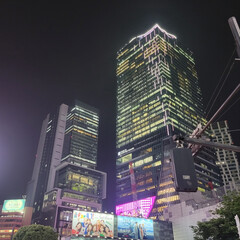 東京/スクランブル交差点/渋谷 夜の渋谷スクランブル交差点
 
やはり、…(1枚目)