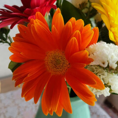 大満足/お花大好き/頑張れ/鼻の花瓶/ミニブーケの花束/おめでとう/... 昨日は
娘の入社式だったので
お祝い😥に…(2枚目)