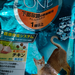 個人の感想です/猫尿路結石　膀胱炎/猫との暮らし＆多頭飼い/可愛いニャンズ達 猫飼いさんに、自分の反省から、参考になれ…(9枚目)