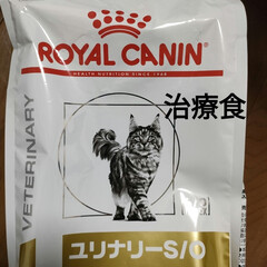 個人の感想です/猫尿路結石　膀胱炎/猫との暮らし＆多頭飼い/可愛いニャンズ達 猫飼いさんに、自分の反省から、参考になれ…(3枚目)