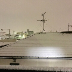 雪 おはようございます⛄️
大阪の堺市は 雪…(1枚目)