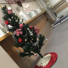 クリスマス/クリスマスツリー/ツリー/病院/入院/クリスマス2019 入院中のためクリスマスツリーを見に行った…(1枚目)