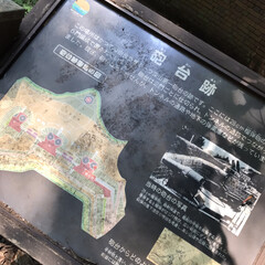 歴史/遺産/和歌山県 深山第一砲跡地

緑に囲まれた森林にカプ…(2枚目)