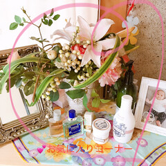 癒し/お気に入りグッズ 気に入りコーナーです💕💕
孫の5年前のフ…