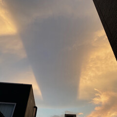 雲/空/夕日 ふと、ベランダに出たら
不思議な雲の道が…(1枚目)