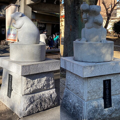 初詣 杉山神社にあるねずみ
右が雄で左が雌
雄…(1枚目)