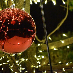 クリスマス2019/クリスマスツリー/夜景/イルミネーション/横浜/赤レンガ倉庫 赤レンガ倉庫のクリスマスツリーから！ツリ…(1枚目)