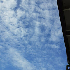 福山 ベランダから見える、今日の空☺☀️

太…(4枚目)