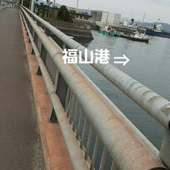 先日/👀📷✨ 福山港近くの、釜屋橋🎵

気づけば、欄干…(3枚目)