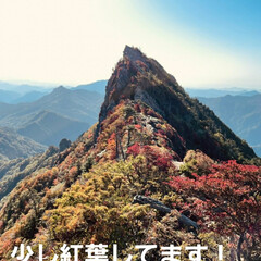 先日/ご来光🤲/娘夫婦が登山/愛媛県・石鎚山/写真を送ってくれました おはようございます☀️🙋‍♀️
10月9…(3枚目)