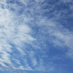 福山 ベランダから見える、今日の空☺☀️

太…(2枚目)