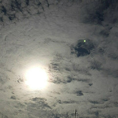 福山 ベランダから見える、今日の空☺☀️

太…(3枚目)
