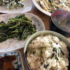 お昼ご飯/わらびづくし/わらび/山菜 昨日採ったわらびをあく抜きして、お昼ご飯…