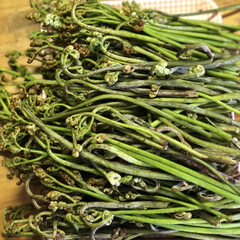 自然に感謝/山菜/わらびの浅漬け/おこわ/わらび 山菜が芽吹く季節🌿🌿🌿
今年もわらび採り…