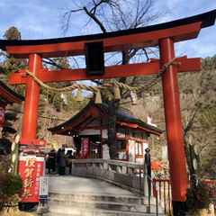 金櫻神社/初詣 今日は、待ちに待ったお休みでした‼️
ま…